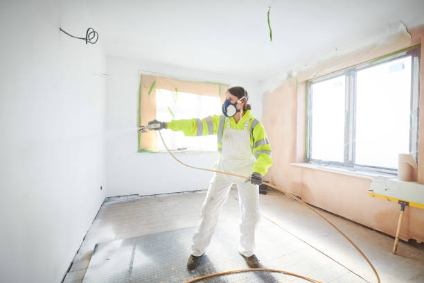 Best Mold Damage Restoration  in Bliss Corner, MA