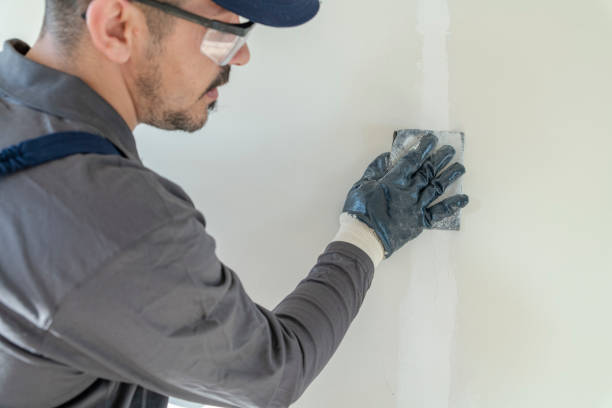 Best Crawl Space Mold Remediation  in Bliss Corner, MA