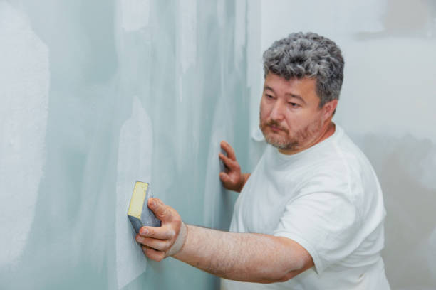Best Mold Odor Removal Services  in Bliss Corner, MA