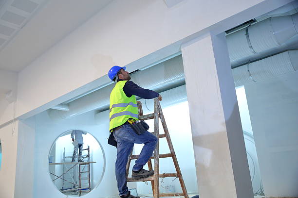 Bliss Corner, MA Mold Removal Company
