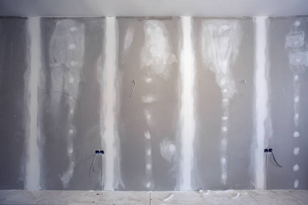 Best Dehumidification Services  in Bliss Corner, MA